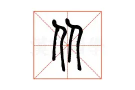 金年会体育入口-从达拉斯独行侠今晨完成体检到冲刺阶段丹佛掘金伤情更新，窗口期山东泰山队长鼓劲的简单介绍